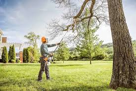 Barberton, WA Tree Services Company