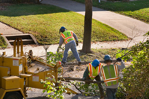 Best Seasonal Cleanup (Spring/Fall)  in Barberton, WA