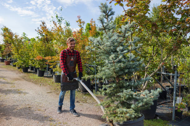 Best Soil Testing and Treatment  in Barberton, WA